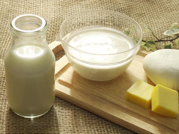乳製品