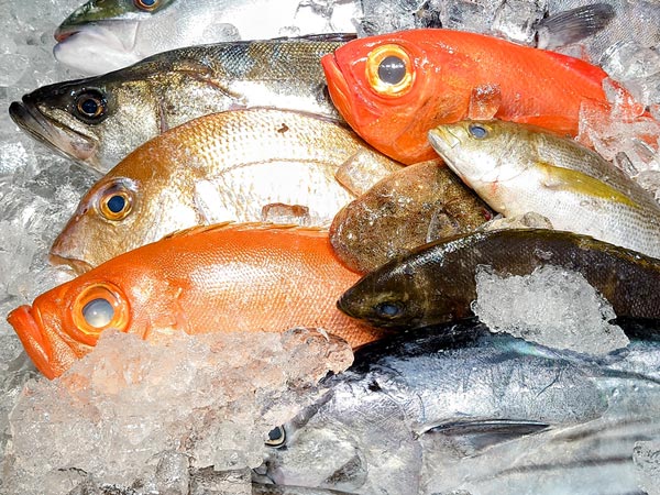 鮮魚